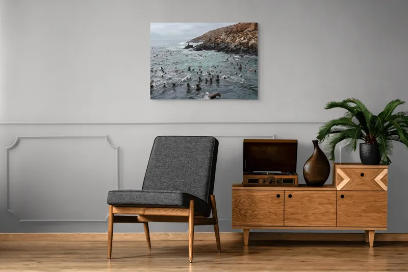 Tablou Canvas, "Colonie de foci la malul stâncos", Lei, Mare, Stânci, Apă, Cer, Păsări, Colonii, Viețuitoare, Natură, Ocean, Vânt, Ecosistem, Insulă, Mediu, Sălbatic, 100 x 70 cm – poza 8