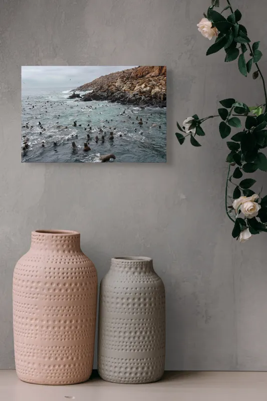 Tablou Canvas, "Colonie de foci la malul stâncos", Lei, Mare, Stânci, Apă, Cer, Păsări, Colonii, Viețuitoare, Natură, Ocean, Vânt, Ecosistem, Insulă, Mediu, Sălbatic, 39 x 26 cm – poza 4