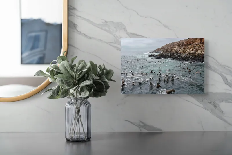 Tablou Canvas, "Colonie de foci la malul stâncos", Lei, Mare, Stânci, Apă, Cer, Păsări, Colonii, Viețuitoare, Natură, Ocean, Vânt, Ecosistem, Insulă, Mediu, Sălbatic, 39 x 26 cm – poza 5