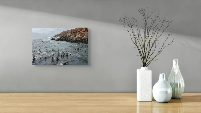 Tablou Canvas, "Colonie de foci la malul stâncos", Lei, Mare, Stânci, Apă, Cer, Păsări, Colonii, Viețuitoare, Natură, Ocean, Vânt, Ecosistem, Insulă, Mediu, Sălbatic, 39 x 26 cm – poza 8