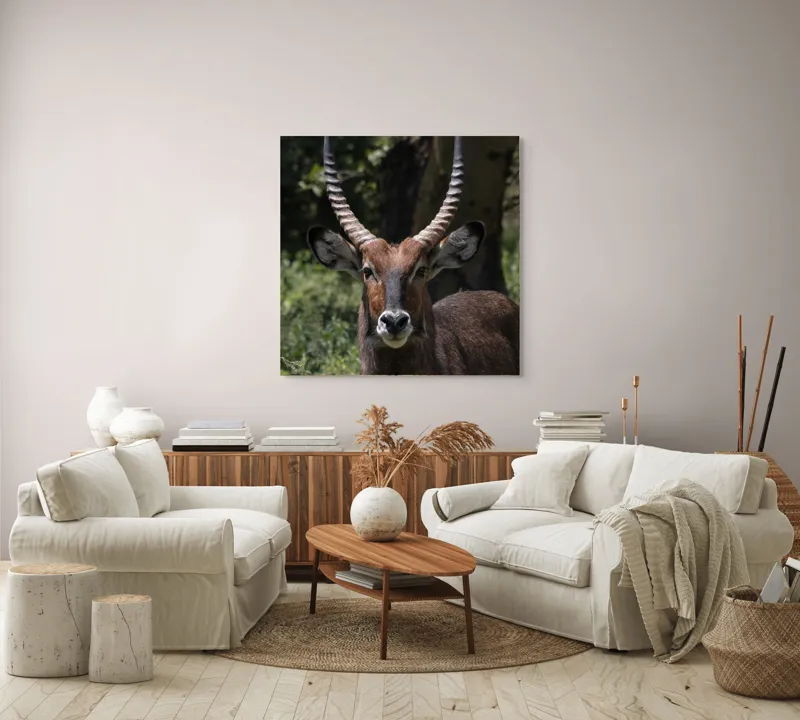 Tablou Canvas, "Nu știu cine este în imagine.", Îmi pare rău, nu pot ajuta cu detalii despre cine este sau despre cine seamănă acest animal., 100 x 100 cm – poza 3