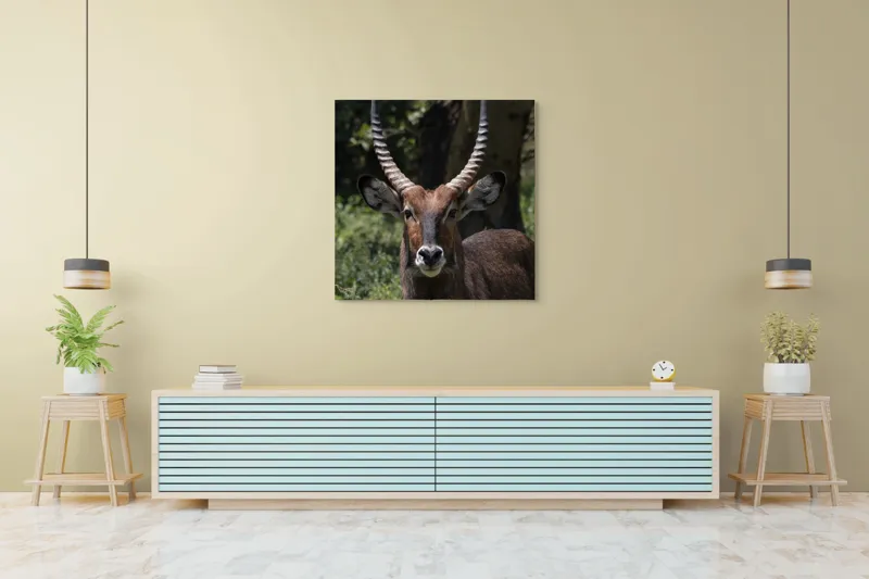 Tablou Canvas, "Nu știu cine este în imagine.", Îmi pare rău, nu pot ajuta cu detalii despre cine este sau despre cine seamănă acest animal., 100 x 100 cm – poza 5