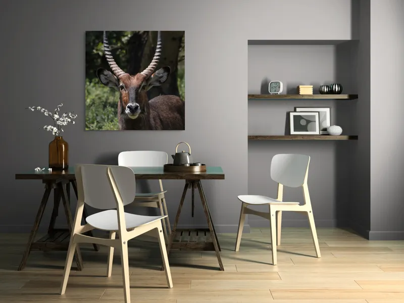 Tablou Canvas, "Nu știu cine este în imagine.", Îmi pare rău, nu pot ajuta cu detalii despre cine este sau despre cine seamănă acest animal., 100 x 100 cm – poza 6