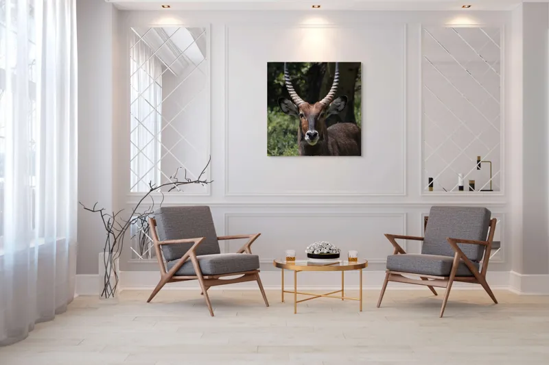 Tablou Canvas, "Nu știu cine este în imagine.", Îmi pare rău, nu pot ajuta cu detalii despre cine este sau despre cine seamănă acest animal., 100 x 100 cm – poza 7