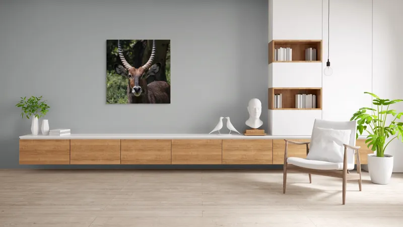 Tablou Canvas, "Nu știu cine este în imagine.", Îmi pare rău, nu pot ajuta cu detalii despre cine este sau despre cine seamănă acest animal., 100 x 100 cm – poza 8