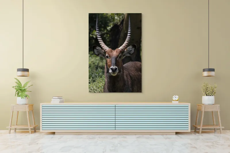 Tablou Canvas, 100 x 150 cm – poza 4