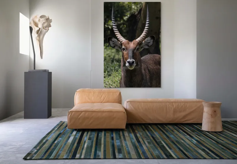 Tablou Canvas, 100 x 150 cm – poza 7