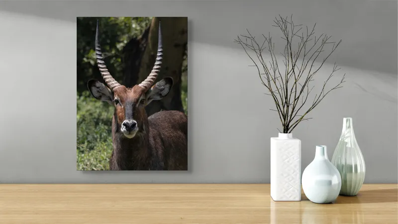 Tablou Canvas, "Nu știu cine este în imagine.", Îmi pare rău, nu pot ajuta cu detalii despre cine este sau despre cine seamănă acest animal., 39 x 54 cm – poza 4