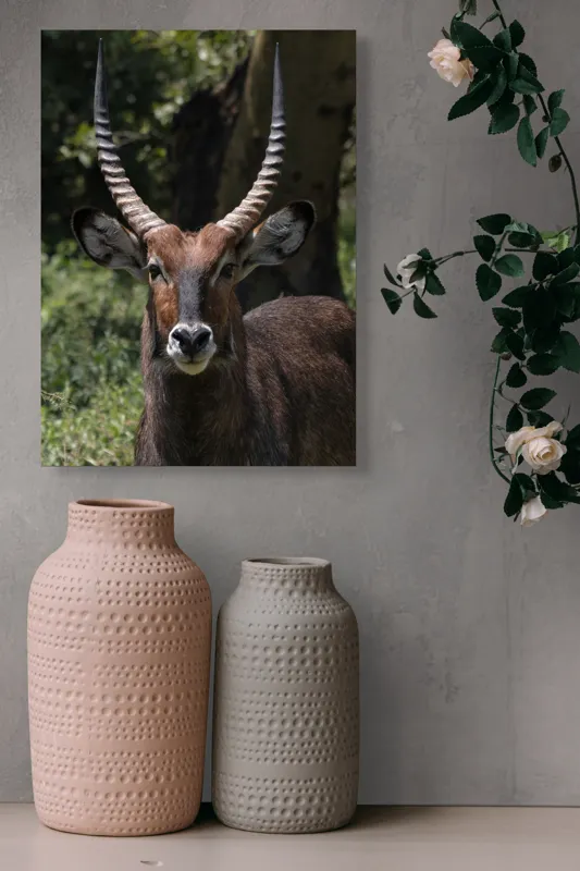 Tablou Canvas, "Nu știu cine este în imagine.", Îmi pare rău, nu pot ajuta cu detalii despre cine este sau despre cine seamănă acest animal., 39 x 54 cm – poza 6