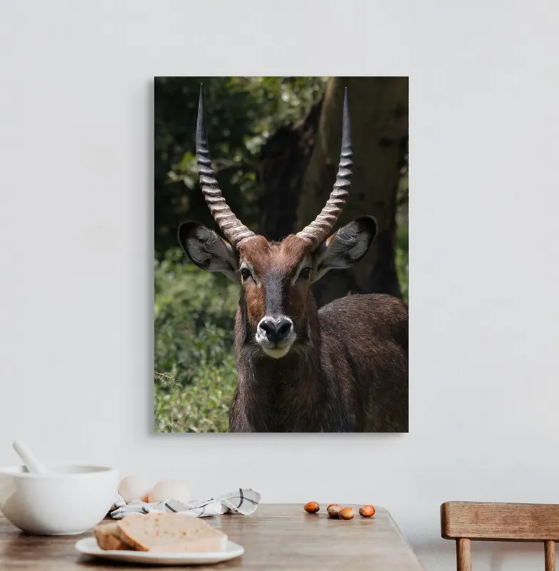 Tablou Canvas, 50 x 70 cm – poza 3