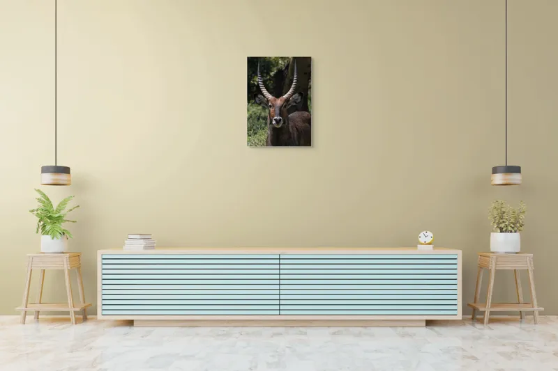 Tablou Canvas, 50 x 70 cm – poza 6