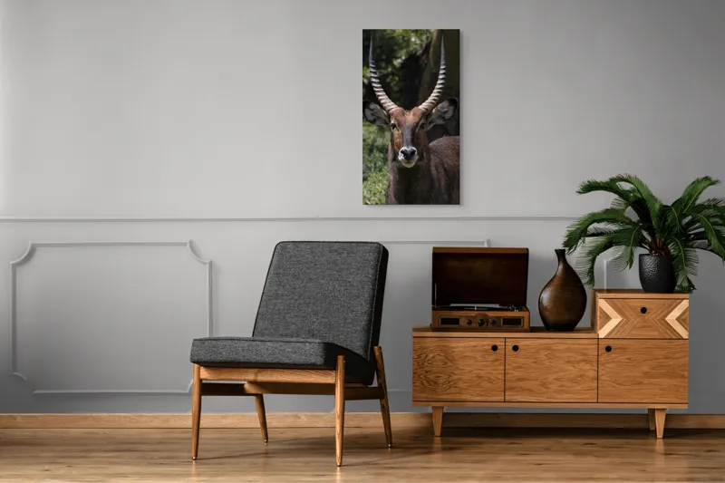 Tablou Canvas, 50 x 90 cm – poza 8
