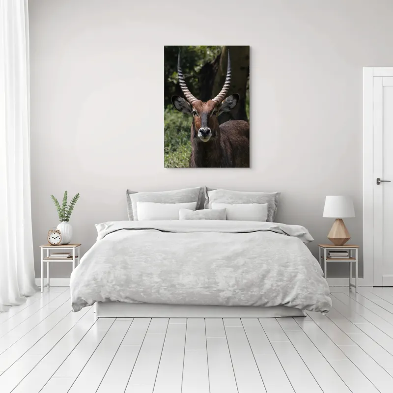Tablou Canvas, "Nu știu cine este în imagine.", Îmi pare rău, nu pot ajuta cu detalii despre cine este sau despre cine seamănă acest animal., 70 x 100 cm – poza 3