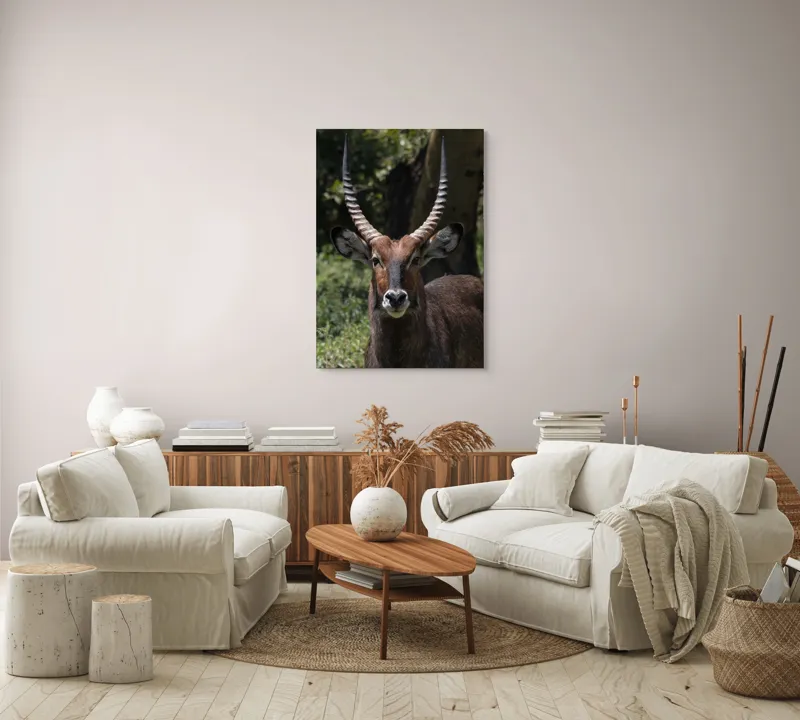 Tablou Canvas, "Nu știu cine este în imagine.", Îmi pare rău, nu pot ajuta cu detalii despre cine este sau despre cine seamănă acest animal., 70 x 100 cm – poza 4
