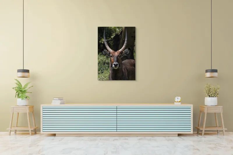 Tablou Canvas, "Nu știu cine este în imagine.", Îmi pare rău, nu pot ajuta cu detalii despre cine este sau despre cine seamănă acest animal., 70 x 100 cm – poza 5