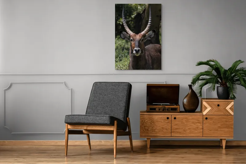 Tablou Canvas, "Nu știu cine este în imagine.", Îmi pare rău, nu pot ajuta cu detalii despre cine este sau despre cine seamănă acest animal., 70 x 100 cm – poza 6