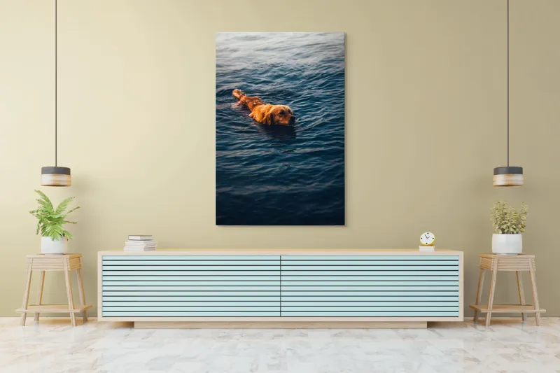 Tablou Canvas, "Câinele înotător în luciul apei", Câine, Apă, Înot, Blană, Auriu, 100 x 150 cm – poza 4