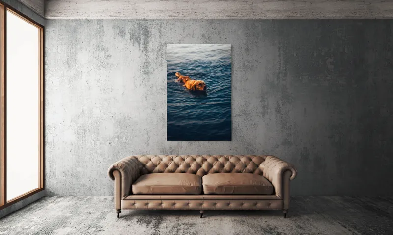 Tablou Canvas, "Câinele înotător în luciul apei", Câine, Apă, Înot, Blană, Auriu, 100 x 150 cm – poza 6