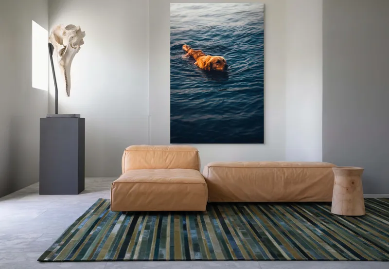 Tablou Canvas, "Câinele înotător în luciul apei", Câine, Apă, Înot, Blană, Auriu, 100 x 150 cm – poza 7