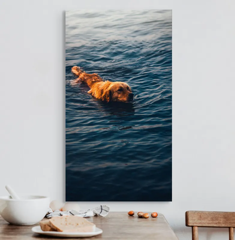Tablou Canvas, "Câinele înotător în luciul apei", Câine, Apă, Înot, Blană, Auriu, 50 x 90 cm – poza 3