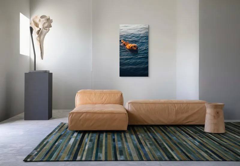 Tablou Canvas, "Câinele înotător în luciul apei", Câine, Apă, Înot, Blană, Auriu, 50 x 90 cm – poza 5