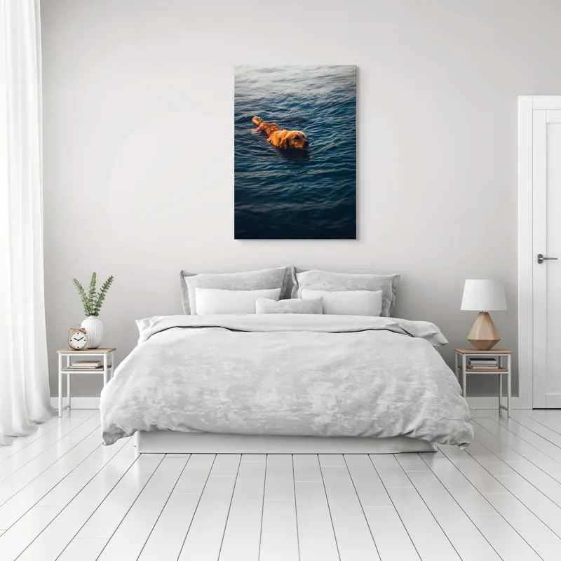 Tablou Canvas, "Câinele înotător în luciul apei", Câine, Apă, Înot, Blană, Auriu, 70 x 100 cm – poza 3