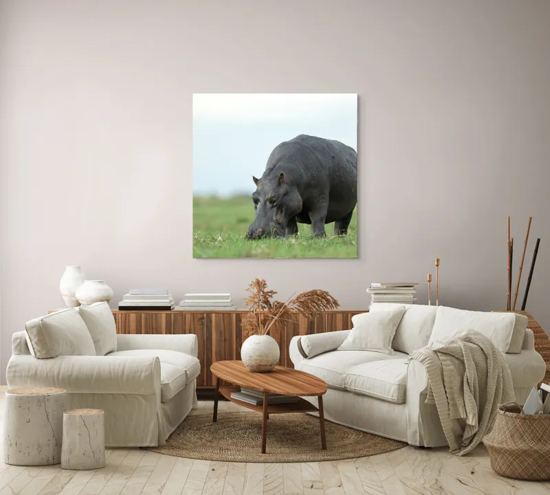 Tablou Canvas, "Hipopotam și egretă pe câmpie verde", Hipopotam, Pasăre, Iarbă, Câmpie, Cer, Peisaj, Natură, 100 x 100 cm – poza 3