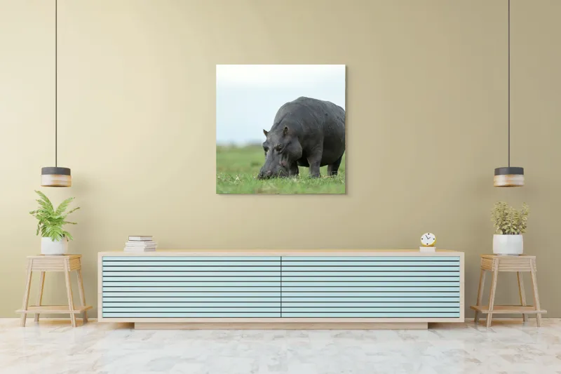 Tablou Canvas, "Hipopotam și egretă pe câmpie verde", Hipopotam, Pasăre, Iarbă, Câmpie, Cer, Peisaj, Natură, 100 x 100 cm – poza 5