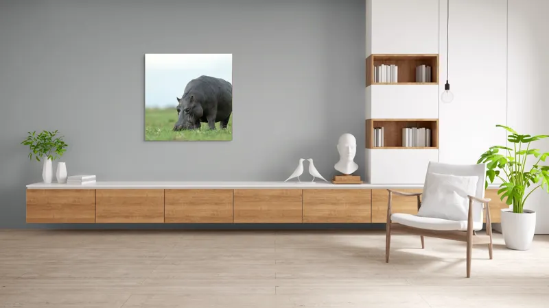 Tablou Canvas, "Hipopotam și egretă pe câmpie verde", Hipopotam, Pasăre, Iarbă, Câmpie, Cer, Peisaj, Natură, 100 x 100 cm – poza 8