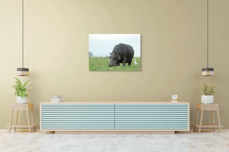 Tablou Canvas, "Hipopotam și egretă pe câmpie verde", Hipopotam, Pasăre, Iarbă, Câmpie, Cer, Peisaj, Natură, 100 x 70 cm – poza 4