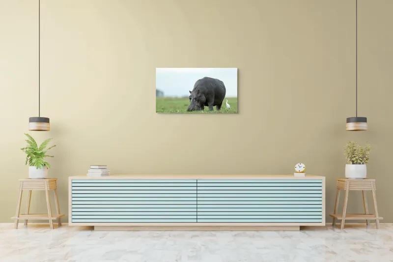 Tablou Canvas, "Hipopotam și egretă pe câmpie verde", Hipopotam, Pasăre, Iarbă, Câmpie, Cer, Peisaj, Natură, 90 x 50 cm – poza 5