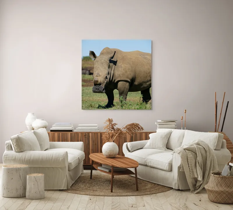Tablou Canvas, "Rinocerul în savana africană liniștită", Nu pot identifica persoane sau animale din imagini, dar aceasta este imaginea unui rinocer., 100 x 100 cm – poza 3