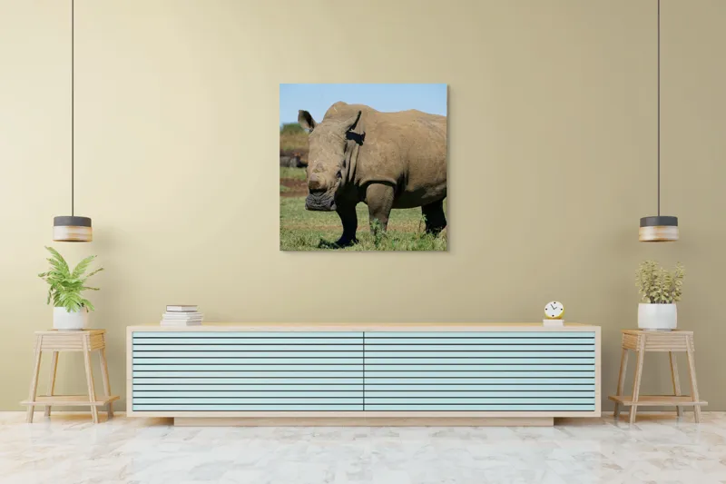 Tablou Canvas, "Rinocerul în savana africană liniștită", Nu pot identifica persoane sau animale din imagini, dar aceasta este imaginea unui rinocer., 100 x 100 cm – poza 5