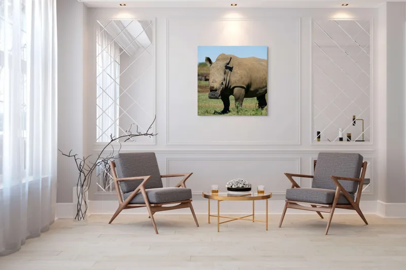 Tablou Canvas, "Rinocerul în savana africană liniștită", Nu pot identifica persoane sau animale din imagini, dar aceasta este imaginea unui rinocer., 100 x 100 cm – poza 7