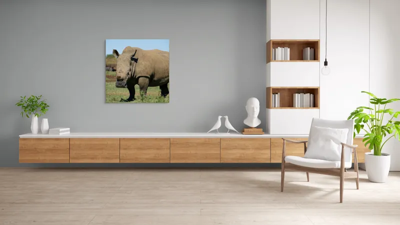 Tablou Canvas, "Rinocerul în savana africană liniștită", Nu pot identifica persoane sau animale din imagini, dar aceasta este imaginea unui rinocer., 100 x 100 cm – poza 8