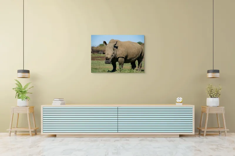Tablou Canvas, "Rinocerul în savana africană liniștită", 100 x 70 cm – poza 4
