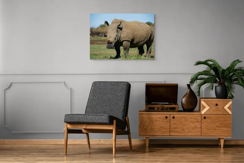 Tablou Canvas, "Rinocerul în savana africană liniștită", 100 x 70 cm – poza 8