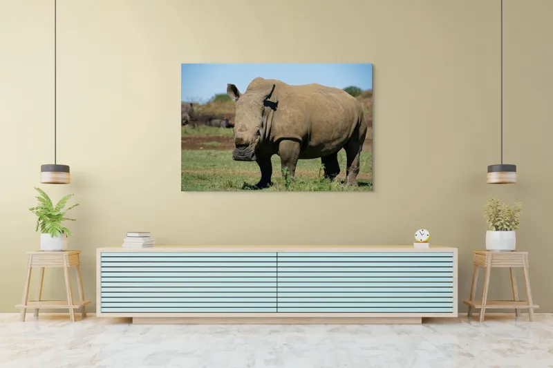 Tablou Canvas, "Rinocerul în savana africană liniștită", Nu pot identifica persoane sau animale din imagini, dar aceasta este imaginea unui rinocer., 150 x 100 cm – poza 6