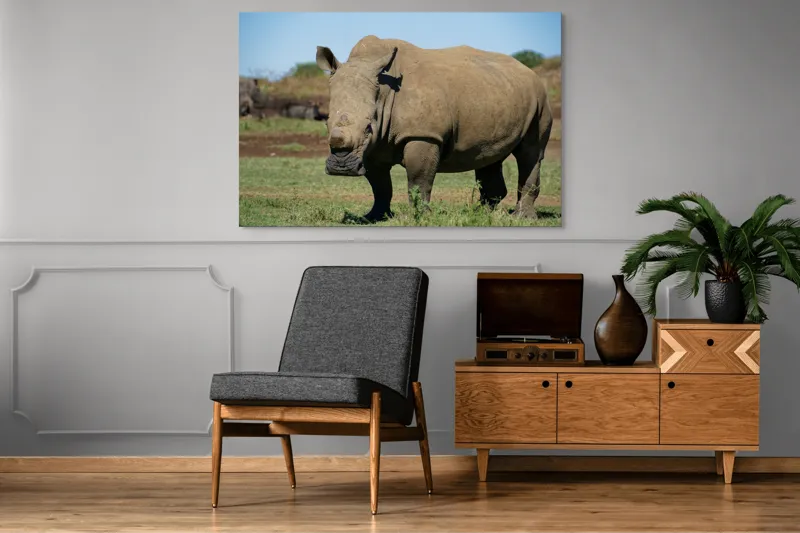 Tablou Canvas, "Rinocerul în savana africană liniștită", Nu pot identifica persoane sau animale din imagini, dar aceasta este imaginea unui rinocer., 150 x 100 cm – poza 8