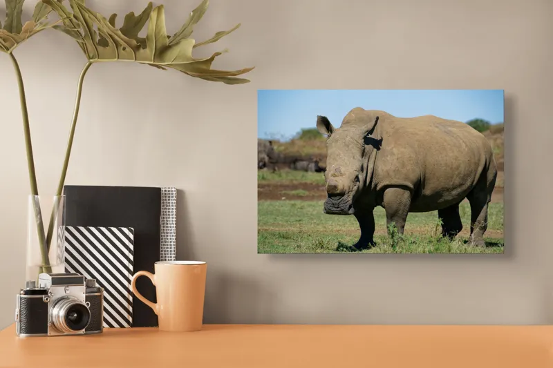 Tablou Canvas, "Rinocerul în savana africană liniștită", 39 x 26 cm – poza 3