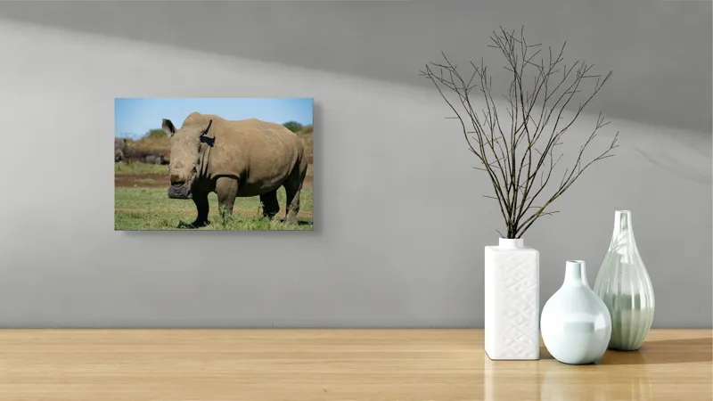 Tablou Canvas, "Rinocerul în savana africană liniștită", 39 x 26 cm – poza 8