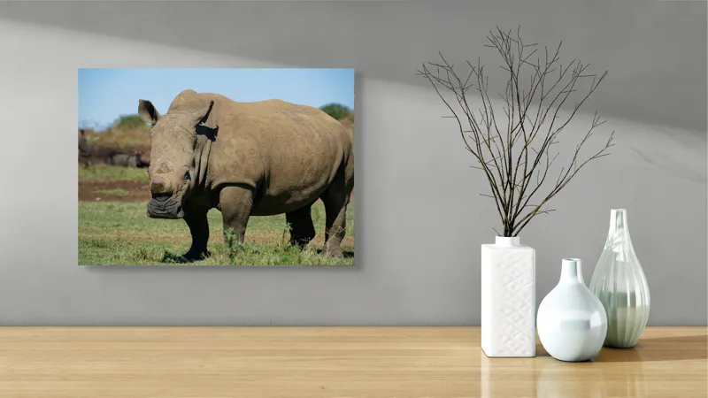 Tablou Canvas, "Rinocerul în savana africană liniștită", Nu pot identifica persoane sau animale din imagini, dar aceasta este imaginea unui rinocer., 54 x 39 cm – poza 3