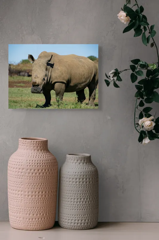 Tablou Canvas, "Rinocerul în savana africană liniștită", Nu pot identifica persoane sau animale din imagini, dar aceasta este imaginea unui rinocer., 54 x 39 cm – poza 8