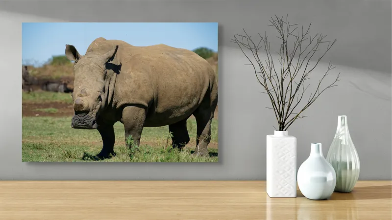 Tablou Canvas, "Rinocerul în savana africană liniștită", 70 x 50 cm – poza 3