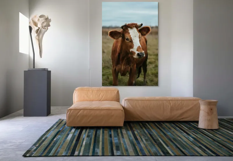 Tablou Canvas, "Vacă în pășune de toamnă", Vacă, Câmp, Cer, Blană, Coarne, Iarbă, 100 x 150 cm – poza 7