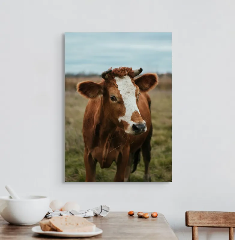 Tablou Canvas, "Vacă în pășune de toamnă", Vacă, Câmp, Cer, Blană, Coarne, Iarbă, 50 x 70 cm – poza 3