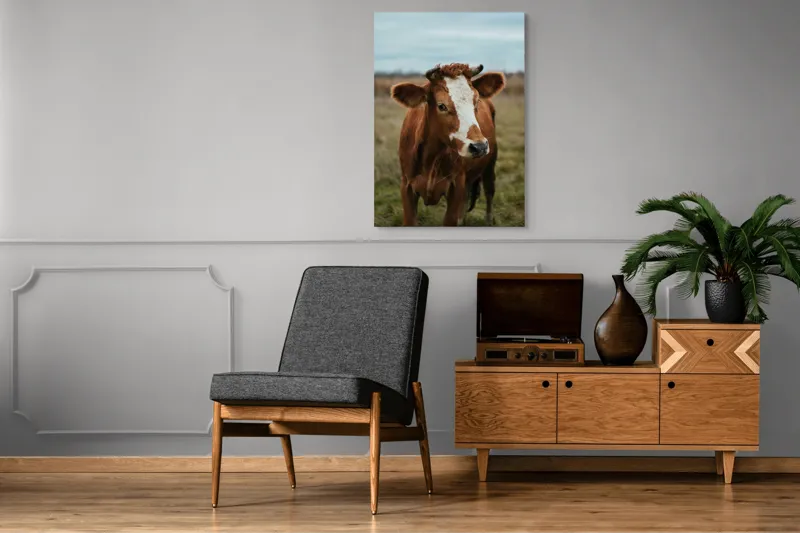Tablou Canvas, "Vacă în pășune de toamnă", Vacă, Câmp, Cer, Blană, Coarne, Iarbă, 70 x 100 cm – poza 6