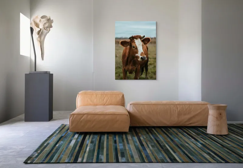 Tablou Canvas, "Vacă în pășune de toamnă", Vacă, Câmp, Cer, Blană, Coarne, Iarbă, 70 x 100 cm – poza 7