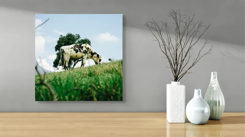 Tablou Canvas, "Vacă pășunând pe dealul verde", Nori, Vaci, Iarbă, Copac, Cer, Peisaj, Natură, Tranquilitate, 50 x 50 cm – poza 3