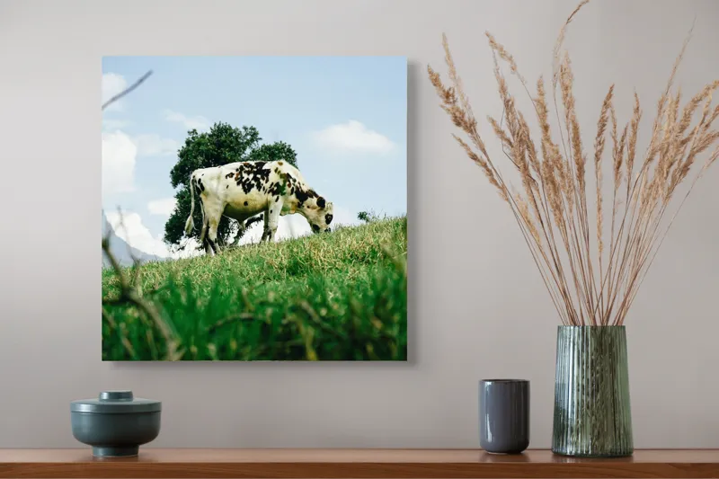 Tablou Canvas, "Vacă pășunând pe dealul verde", Nori, Vaci, Iarbă, Copac, Cer, Peisaj, Natură, Tranquilitate, 50 x 50 cm – poza 4
